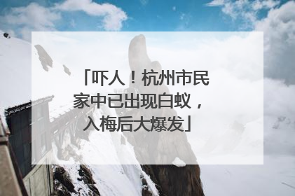 吓人！杭州市民家中已出现白蚁，入梅后大爆发