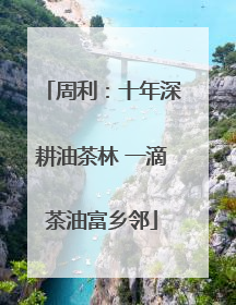 周利：十年深耕油茶林 一滴茶油富乡邻