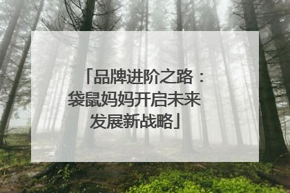 品牌进阶之路：袋鼠妈妈开启未来发展新战略