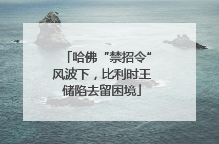 哈佛“禁招令”风波下，比利时王储陷去留困境