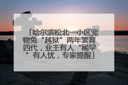 哈尔滨松北一小区宠物兔“越狱”两年繁育四代，业主有人“稀罕”有人忧，专家提醒