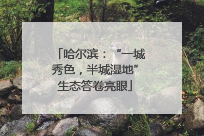 哈尔滨：“一城秀色，半城湿地”生态答卷亮眼