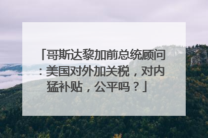 哥斯达黎加前总统顾问：美国对外加关税，对内猛补贴，公平吗？