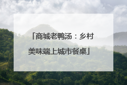 商城老鸭汤：乡村美味端上城市餐桌