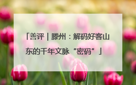 善评｜滕州：解码好客山东的千年文脉“密码”