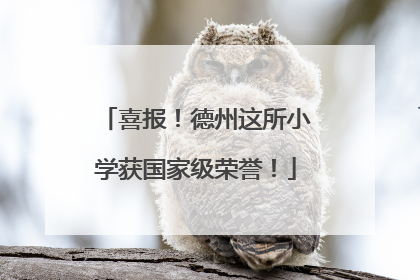 喜报！德州这所小学获国家级荣誉！