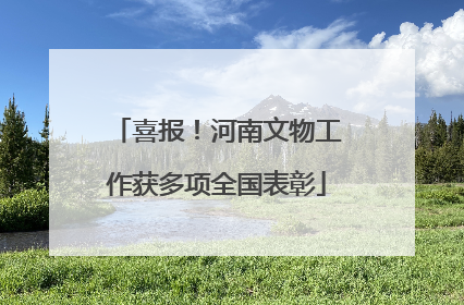 喜报！河南文物工作获多项全国表彰