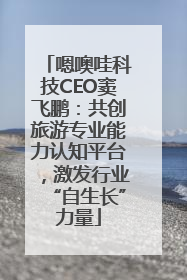 嗯噢哇科技CEO窦飞鹏：共创旅游专业能力认知平台，激发行业“自生长”力量