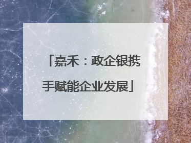 嘉禾：政企银携手赋能企业发展