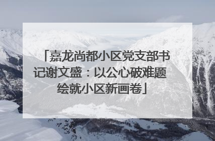 嘉龙尚都小区党支部书记谢文盛：以公心破难题 绘就小区新画卷