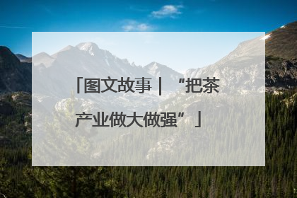 图文故事｜“把茶产业做大做强”