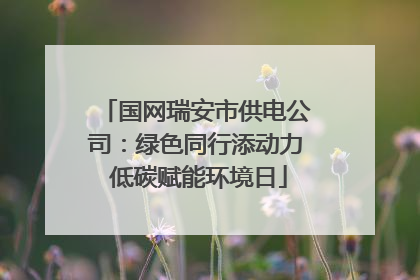 国网瑞安市供电公司：绿色同行添动力 低碳赋能环境日