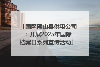 国网确山县供电公司：开展2025年国际档案日系列宣传活动