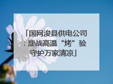 国网浚县供电公司：鏖战高温“烤”验 守护万家清凉