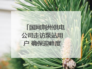 国网荆州供电公司走访泵站用户 确保迎峰度夏用电安全