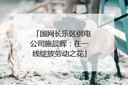 国网长乐区供电公司施晨晖：在一线绽放劳动之花