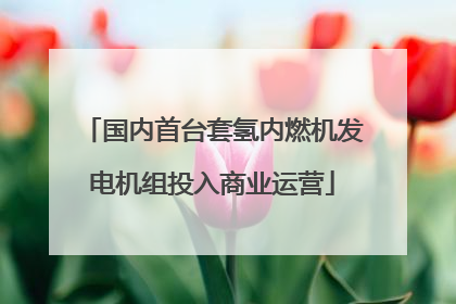 国内首台套氢内燃机发电机组投入商业运营