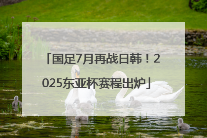 国足7月再战日韩！2025东亚杯赛程出炉