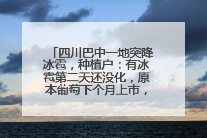 四川巴中一地突降冰雹，种植户：有冰雹第二天还没化，原本葡萄下个月上市，现在全被打落