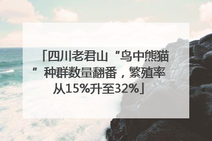 四川老君山“鸟中熊猫”种群数量翻番，繁殖率从15%升至32%