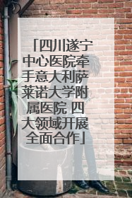 四川遂宁中心医院牵手意大利萨莱诺大学附属医院 四大领域开展全面合作