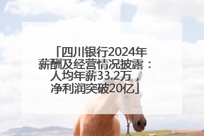 四川银行2024年薪酬及经营情况披露：人均年薪33.2万，净利润突破20亿