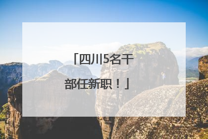 四川5名干部任新职！