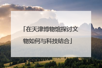 在天津博物馆探讨文物如何与科技结合