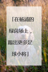 在杨浦的绿茵场上，踢出更多足球小将