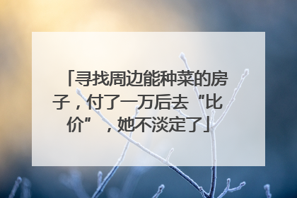 寻找周边能种菜的房子，付了一万后去“比价”，她不淡定了