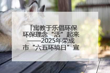 寓教于乐倡环保 环保理念“活”起来——2025年荣成市“六五环境日”宣传活动圆满举行