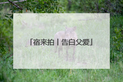 宿来拍丨告白父爱