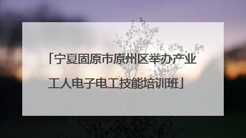 宁夏固原市原州区举办产业工人电子电工技能培训班