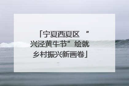 宁夏西夏区 “兴泾黄牛节”绘就乡村振兴新画卷