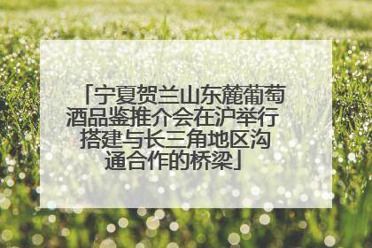 宁夏贺兰山东麓葡萄酒品鉴推介会在沪举行 搭建与长三角地区沟通合作的桥梁