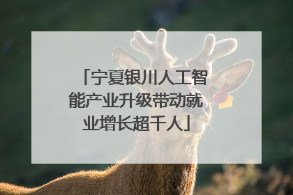 宁夏银川人工智能产业升级带动就业增长超千人