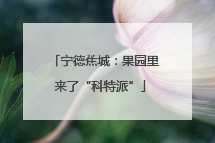 宁德蕉城：果园里来了“科特派”