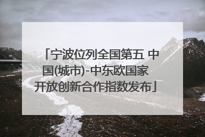 宁波位列全国第五 中国(城市)-中东欧国家开放创新合作指数发布