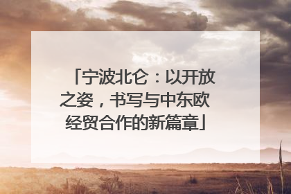 宁波北仑：以开放之姿，书写与中东欧经贸合作的新篇章