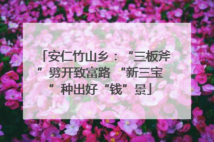 安仁竹山乡：“三板斧”劈开致富路 “新三宝”种出好“钱”景