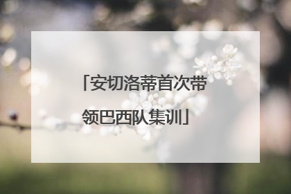 安切洛蒂首次带领巴西队集训