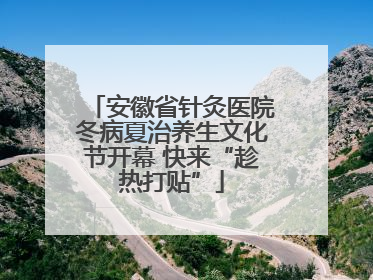 安徽省针灸医院冬病夏治养生文化节开幕 快来“趁热打贴”
