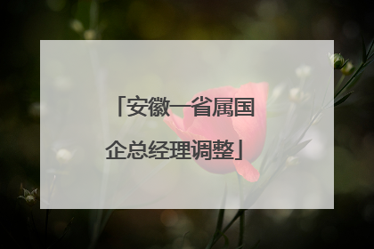 安徽一省属国企总经理调整