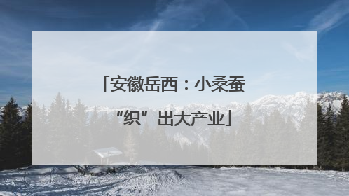 安徽岳西：小桑蚕“织”出大产业
