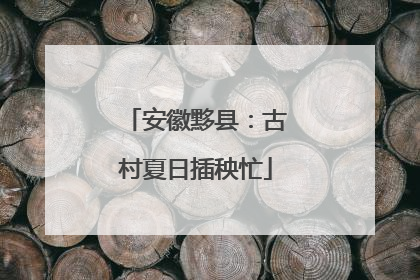 安徽黟县：古村夏日插秧忙