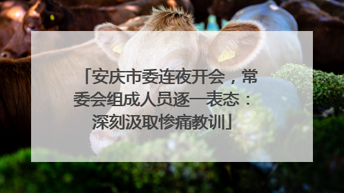 安庆市委连夜开会，常委会组成人员逐一表态：深刻汲取惨痛教训