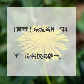 官宣！东城首所“科学”命名校揭牌→