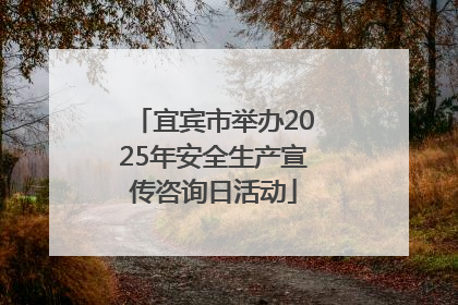 宜宾市举办2025年安全生产宣传咨询日活动