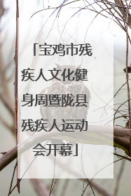 宝鸡市残疾人文化健身周暨陇县残疾人运动会开幕