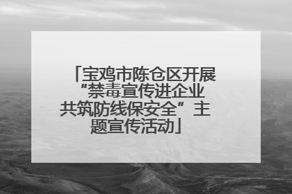 宝鸡市陈仓区开展“禁毒宣传进企业 共筑防线保安全”主题宣传活动